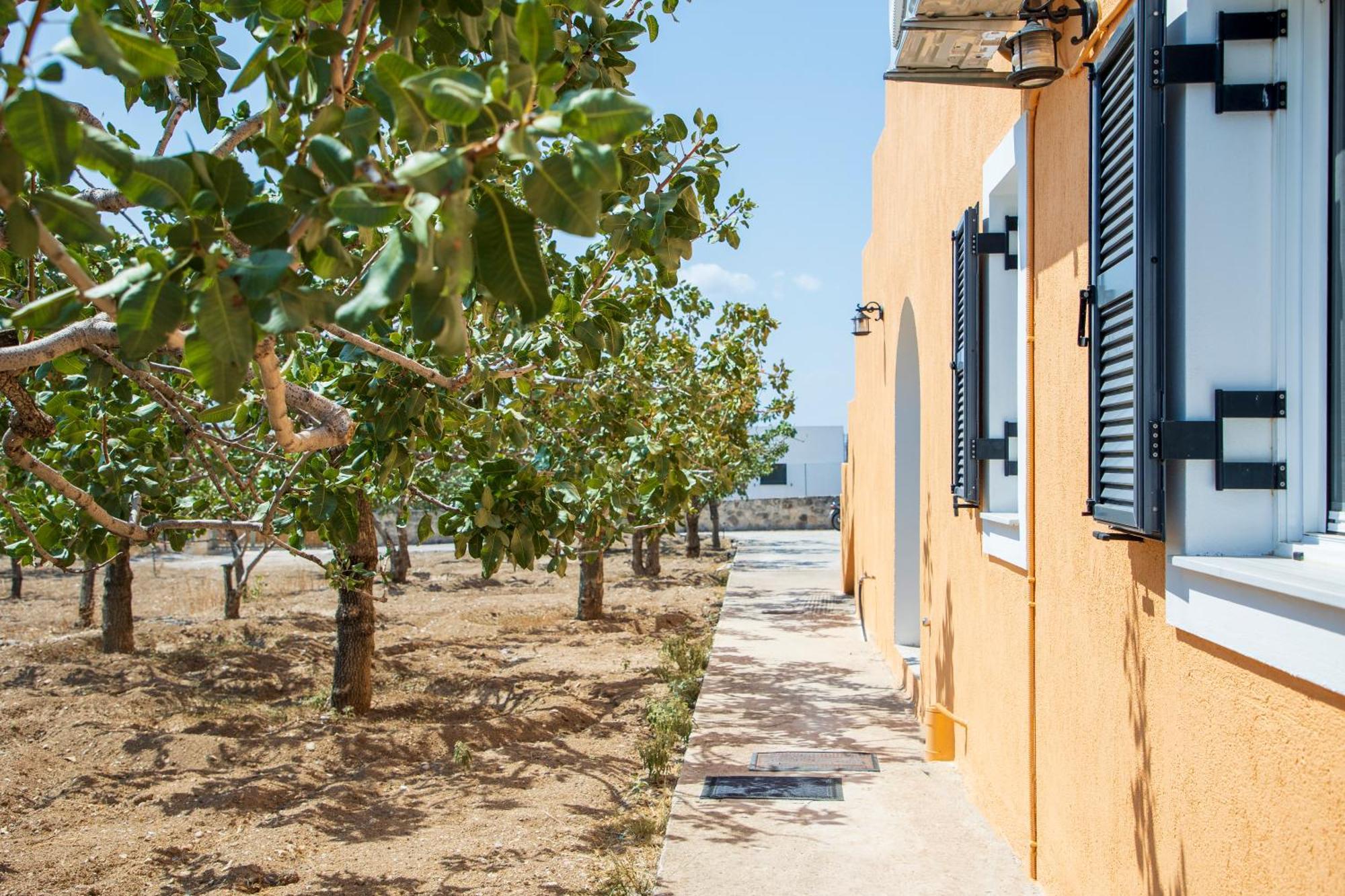 Nick'S House Villa Aegina Exterior photo
